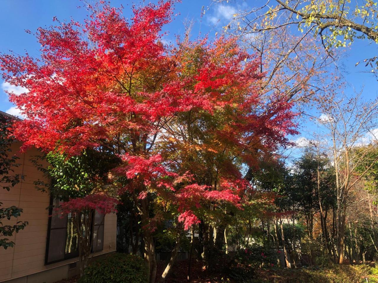 Bed & Breakfast Hoshinosato